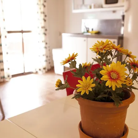 Guest house Serramar