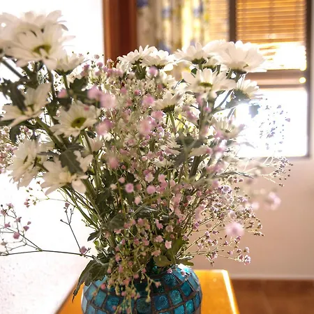 Serramar Guest house